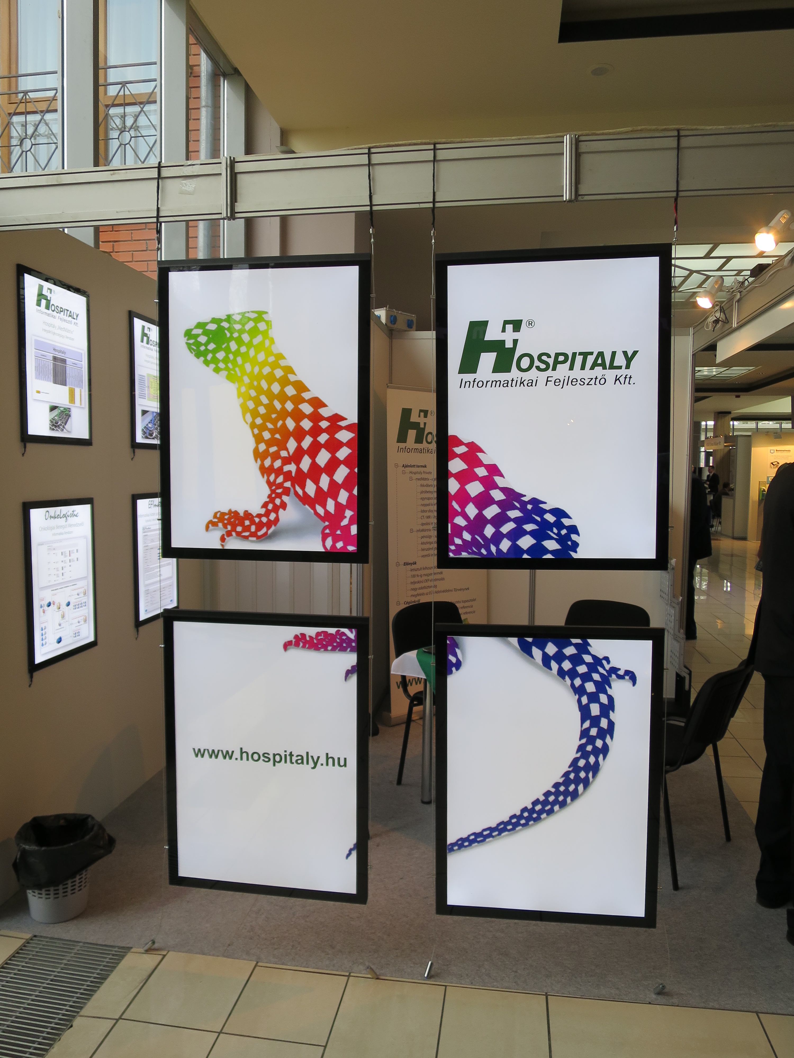 2016 Kórházszövetség stand gyík